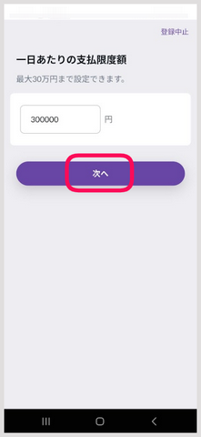 画像：PayB初期設定ー手順11